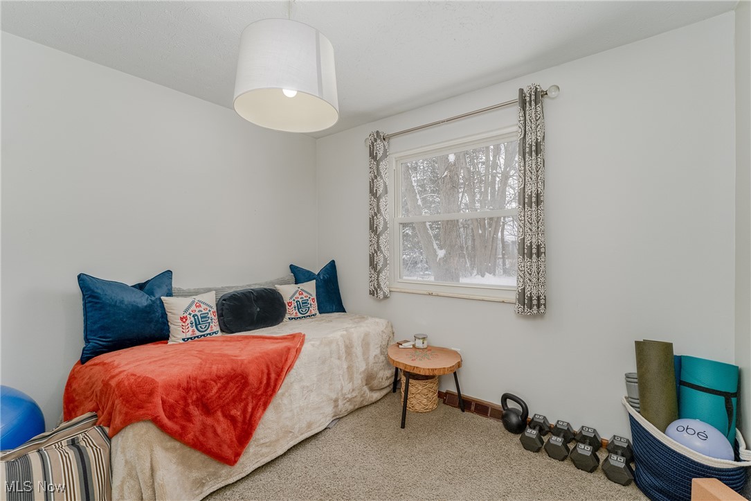9013 Birchwood Drive, Twinsburg, Ohio image 10