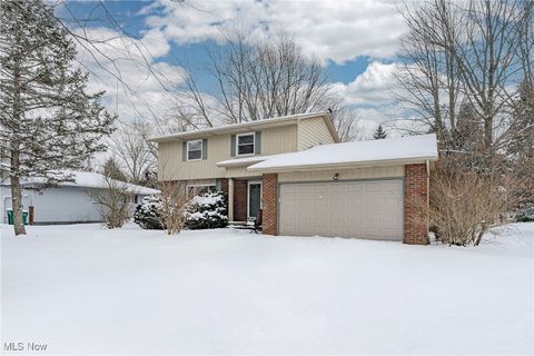 9013 Birchwood Drive, Twinsburg, OH 44087 - MLS#: 5100463