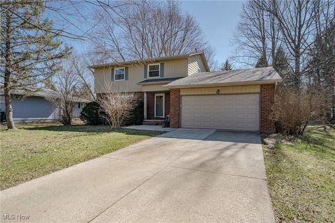 9013 Birchwood Drive, Twinsburg, OH 44087 - MLS#: 5100463