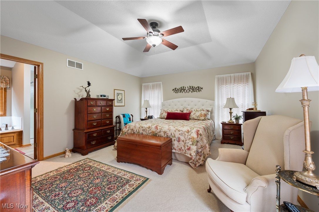 3093 Snowgoose Lane, Akron, Ohio image 18