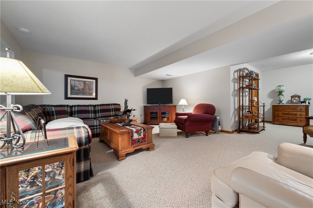 3093 Snowgoose Lane, Akron, Ohio image 31