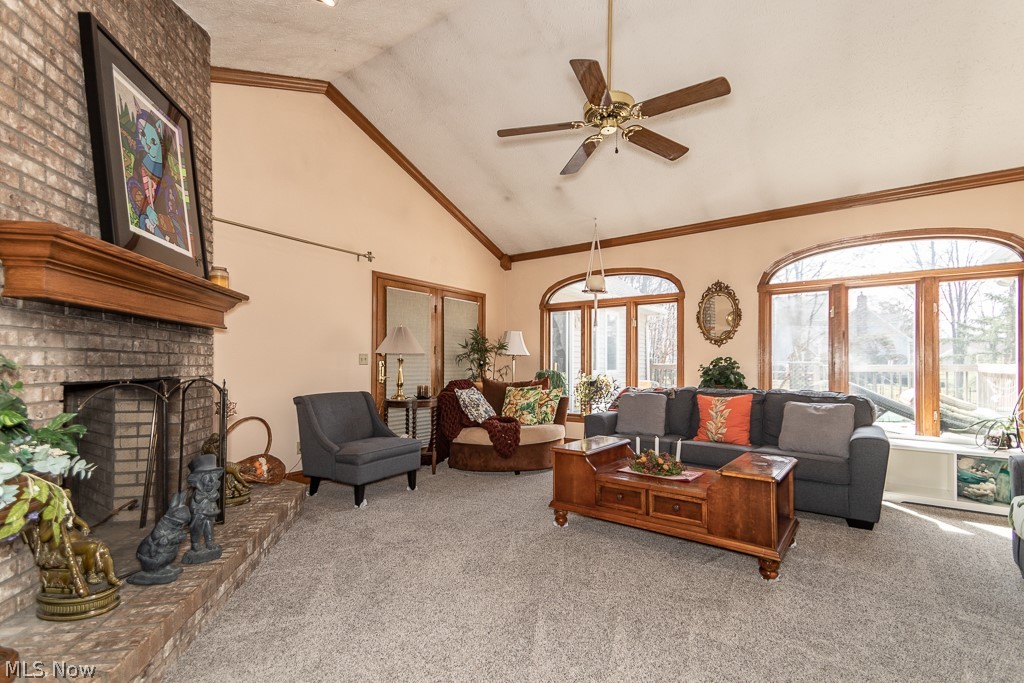 Glen Eden - Residential