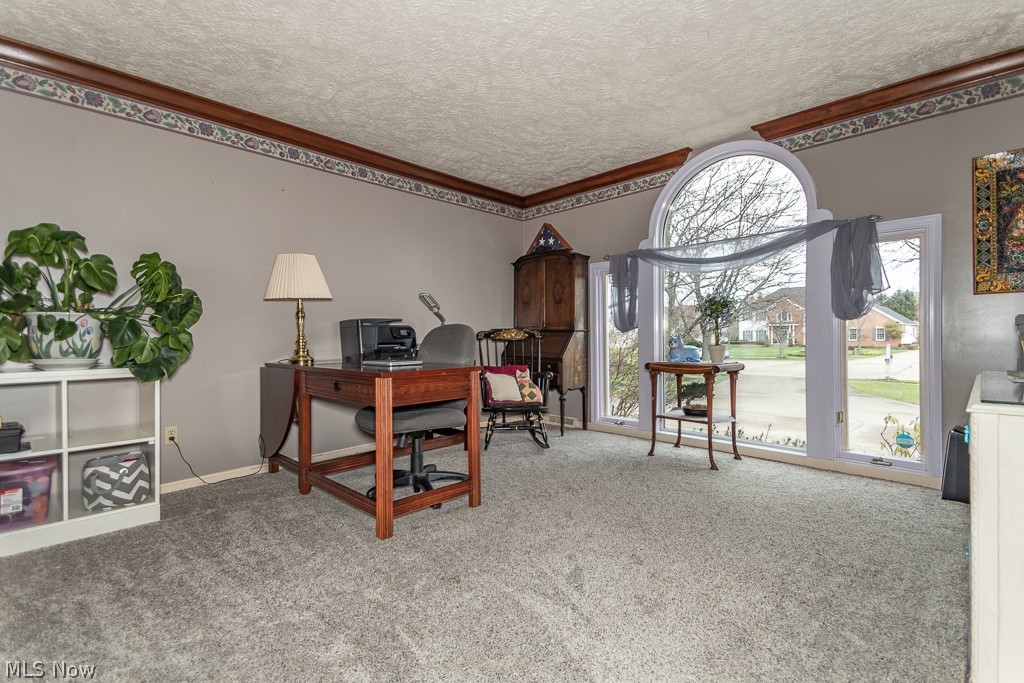 Glen Eden - Residential