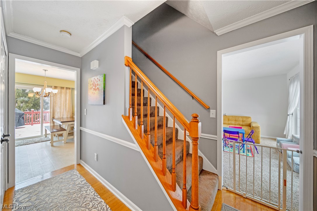 Chapmans Farm Ph 01 - Residential