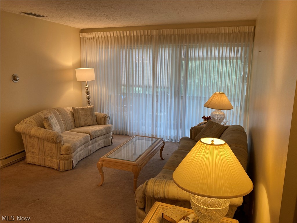 Silver Lake Towers Condo - Residential