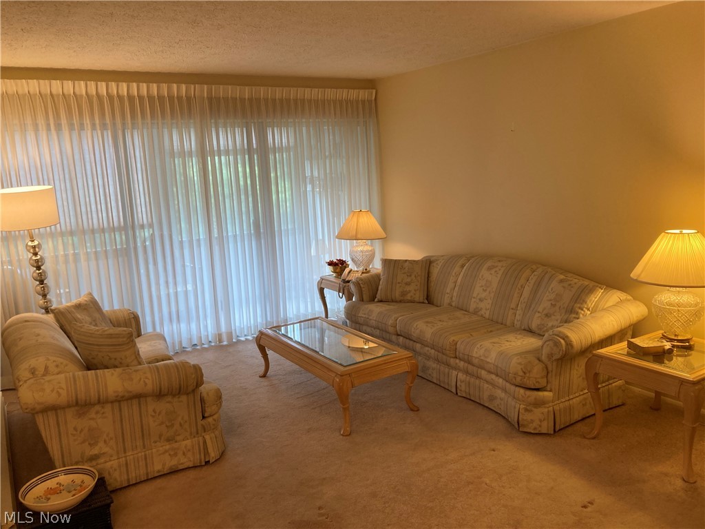 Silver Lake Towers Condo - Residential