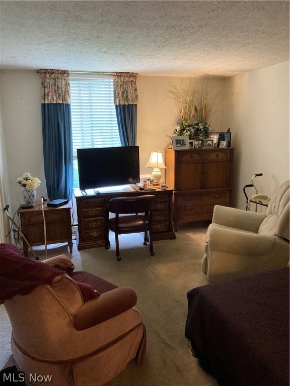 Silver Lake Towers Condo - Residential