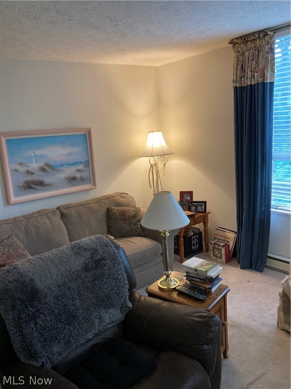 Silver Lake Towers Condo - Residential