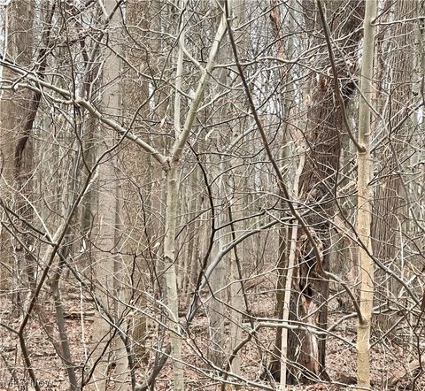 Photo of Maple Avenue, Boardman, OH 44512 (MLS # 5190077)