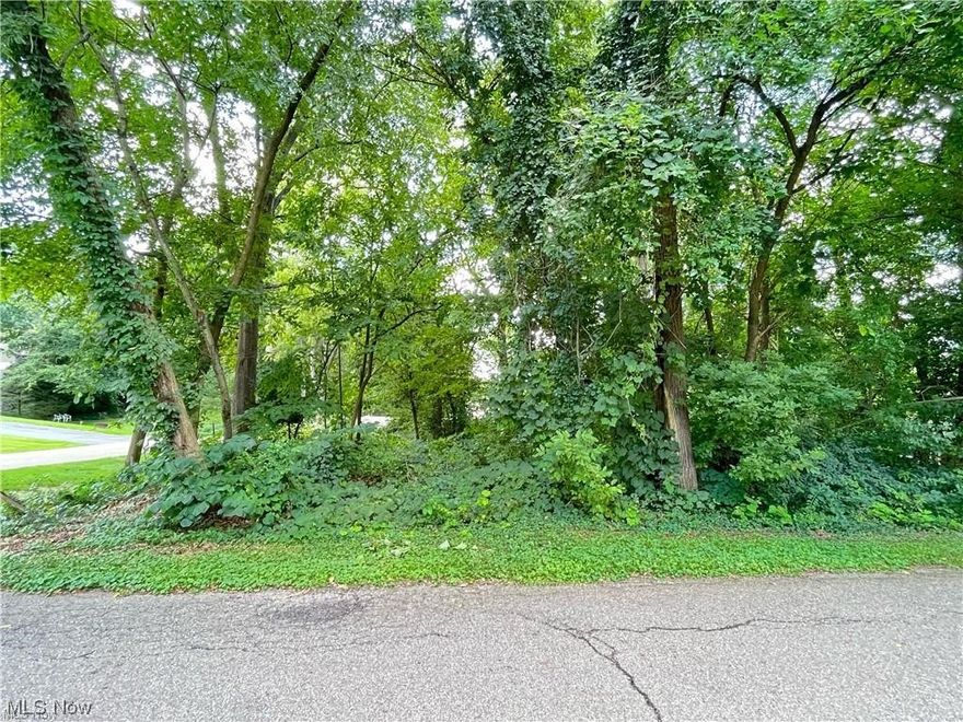 Are you looking to build in the Portage Lakes area?  This lovely corner lot could be the one for you.  It is a private, treed lot where you could build your next home.  Lot is 80 x 100.  Property is located close to all of the Portage Lakes amenities.