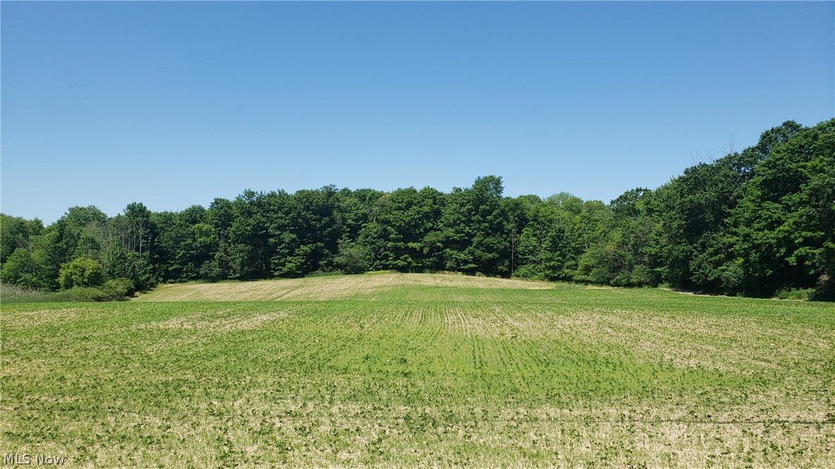 Photo 1 of 12 — Ferguson Road, Streetsboro, OH 44241