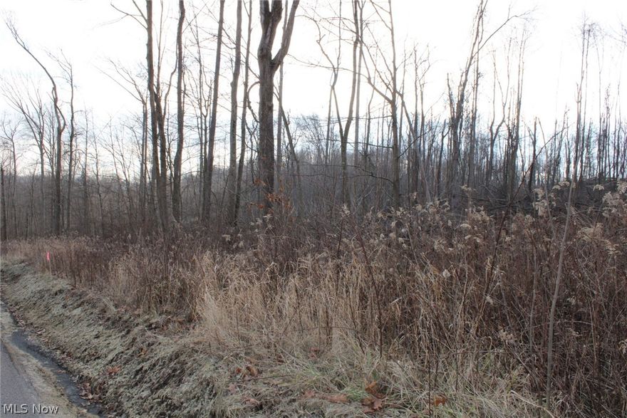 Here is 42.95 acres ready for you to start enjoying. This property would make a great place to build you dream home. It would also be a nice place to build a second home or cabin. It is in very close proximity to lake Mohawk and Atwood lake. For those of you looking for recreation or hunting ground there are multiple deer trails throughout. Please call today to set up a showing.