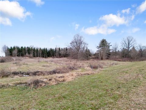 Tiny photo for 4692 Beechwood Avenue NE, Paris, OH 44669 (MLS # 5178358)