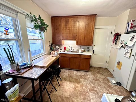 Tiny photo for 1301 Spring Road, Cleveland, OH 44109 (MLS # 5187548)