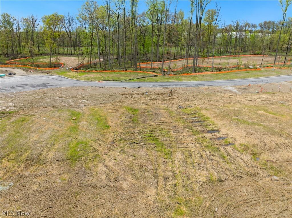 9531 River Birch Run