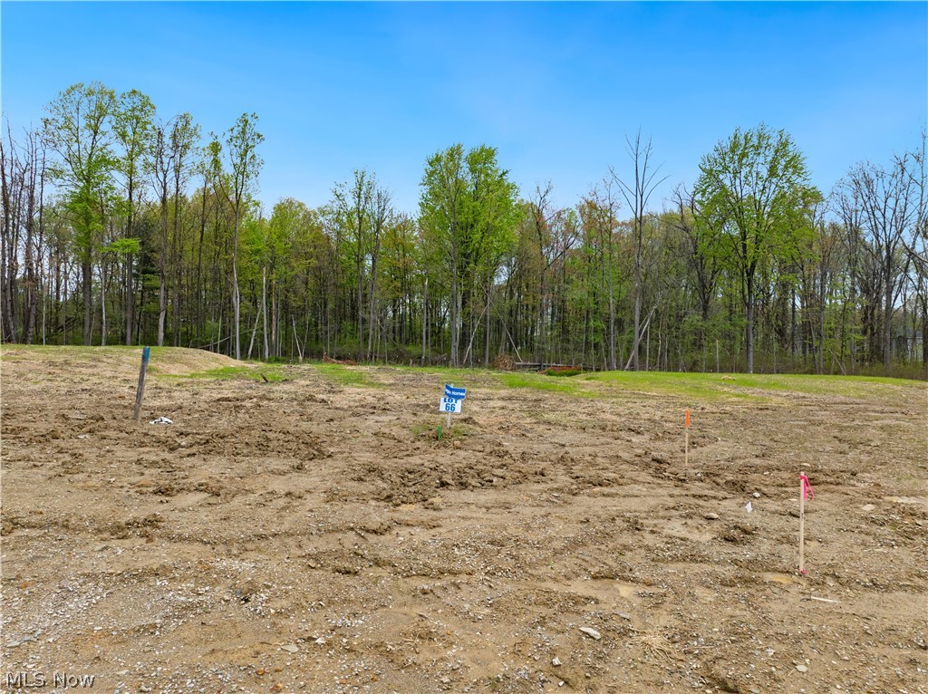 9531 River Birch Run