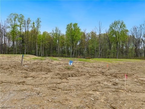 Tiny photo for 9531 River Birch Run, Brecksville, OH 44141 (MLS # 5207721)