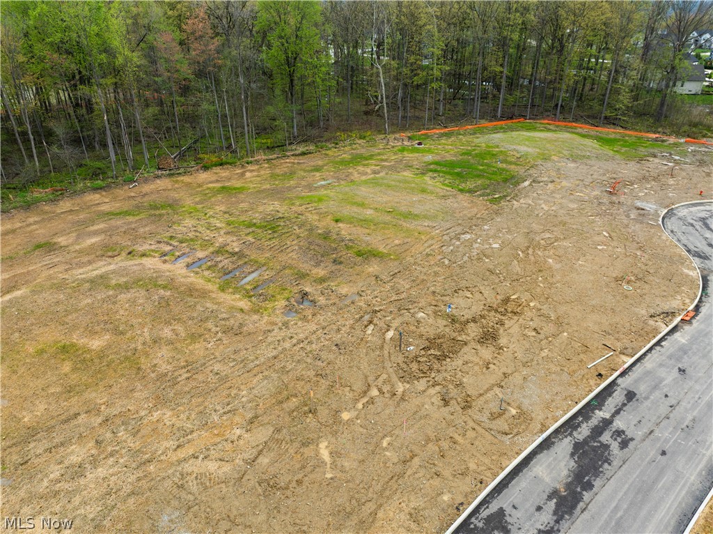 9531 River Birch Run