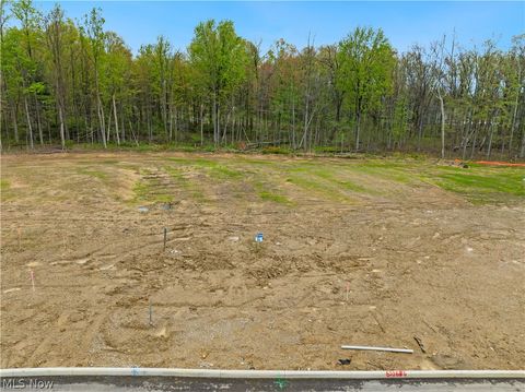 Photo of 9531 River Birch Run, Brecksville, OH 44141 (MLS # 5207721)