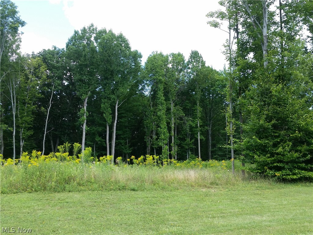 Build your dream home on this gorgeous lot in the lovely Scenic Valley Reserves community amongst elegant homes. Bring your own builder! Very private and close to the cul de sac. One of the prettiest vacant lots available.