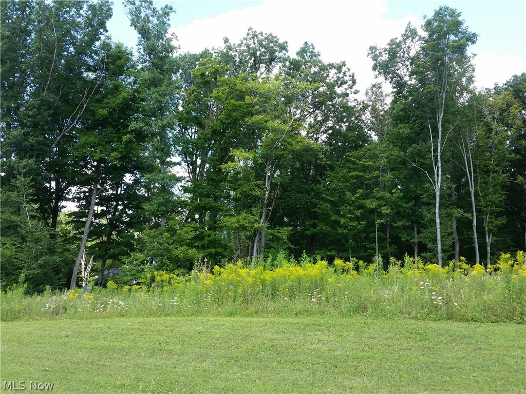 Scenic Vly Reserves - Land