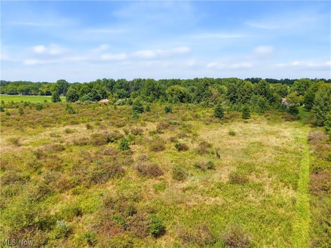 Tiny photo for State Route 82, Newton Falls, OH 44444 (MLS # 5240477)