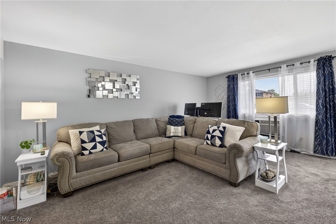 Arlington Condo - Residential