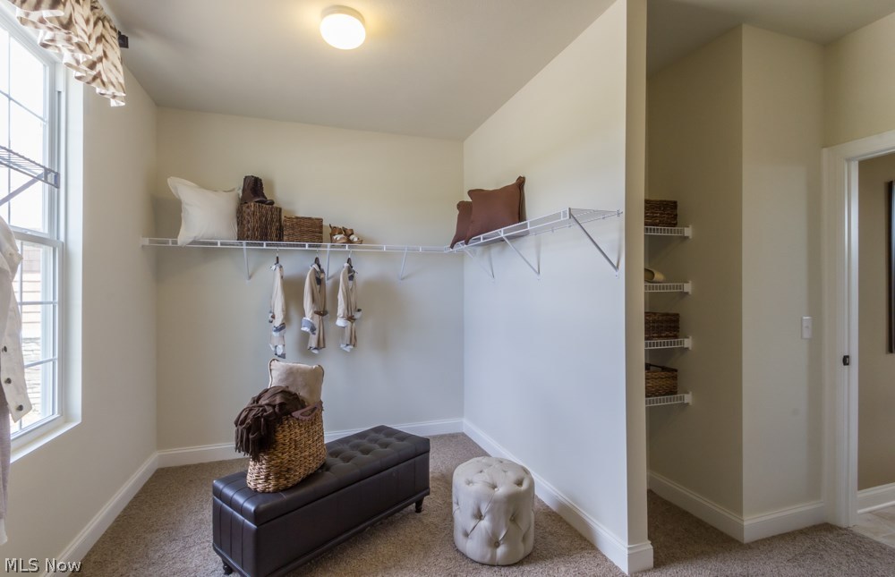 Avalon at Signature of Solon - Residential