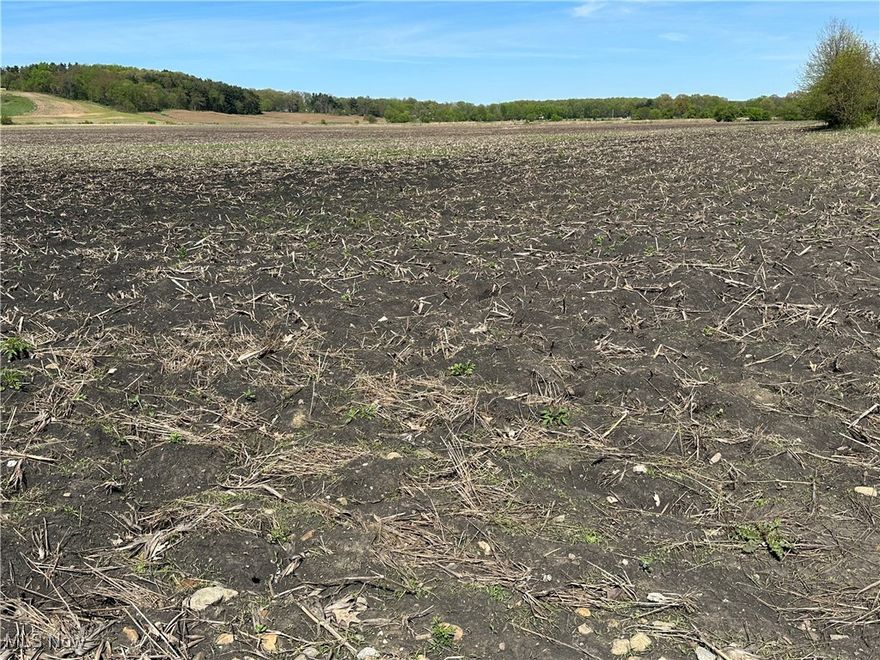 Here is some of the most fertile land in the county! This Black Muck is as highly productive soil as you can find. The land is leased for crops for 2025. If your looking for land that may produce high yields, this is it!