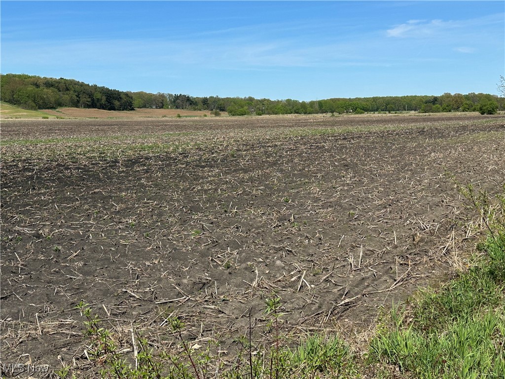 V/L Burton City Road, Orrville, Ohio image 6