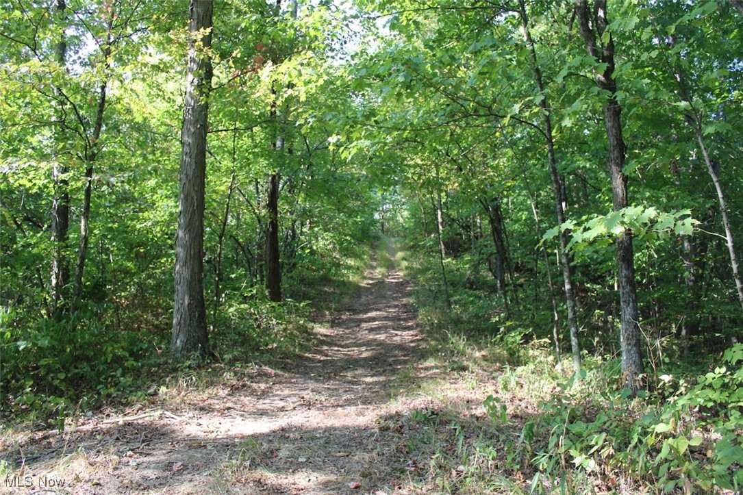 Leffler Road, Roseville, Ohio image 37