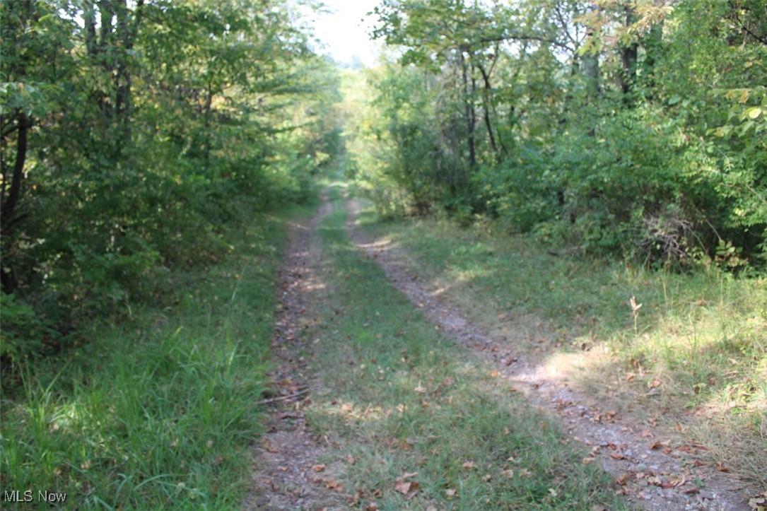 Leffler Road, Roseville, Ohio image 2