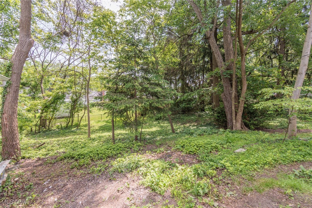 Chestnut Broad Acres - Residential