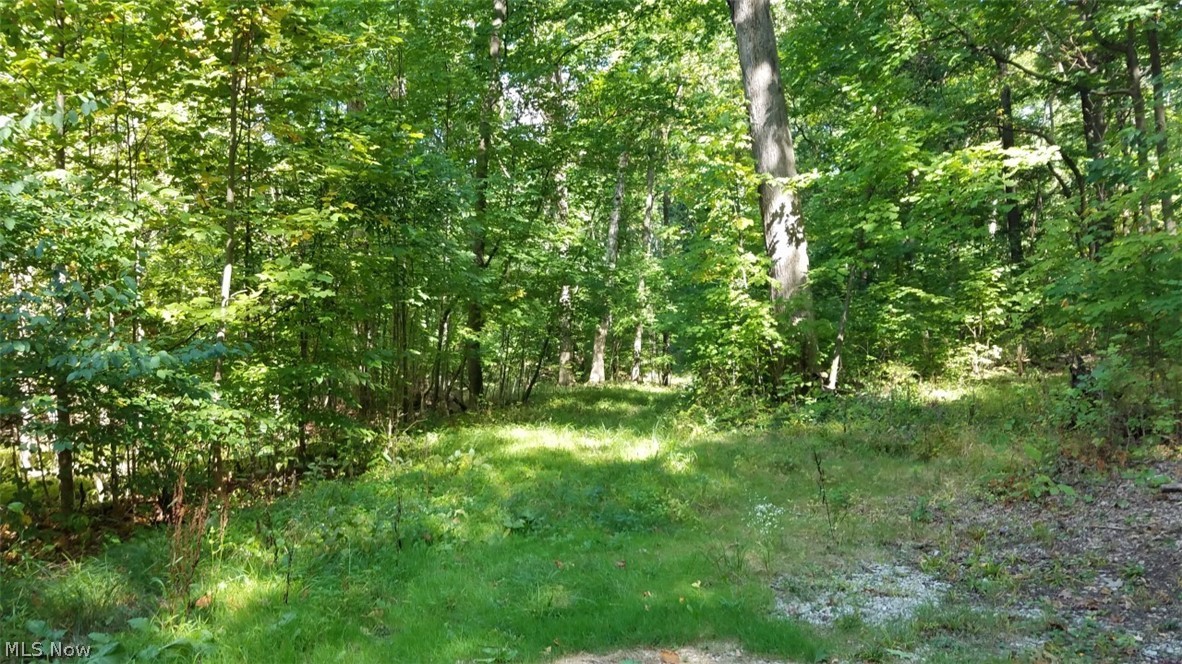 Royalton Sec 15 - Residential Income