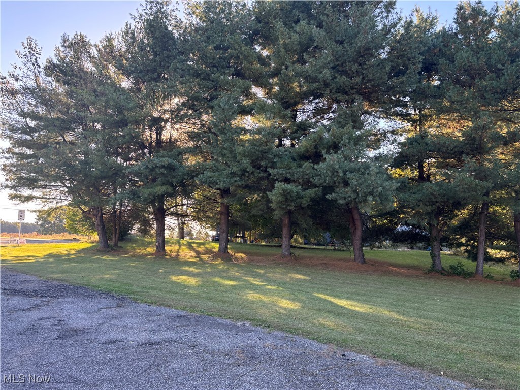 Kinsman, Ohio 44428, United States, ,Commercial,Active,223017