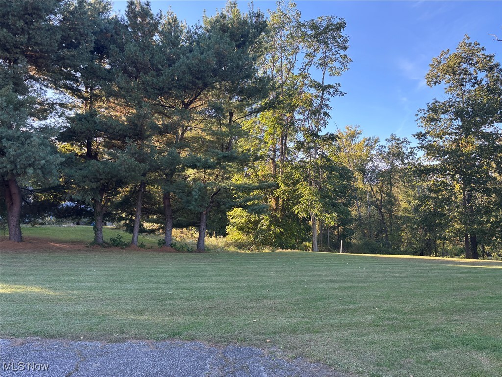 Kinsman, Ohio 44428, United States, ,Commercial,Active,223017