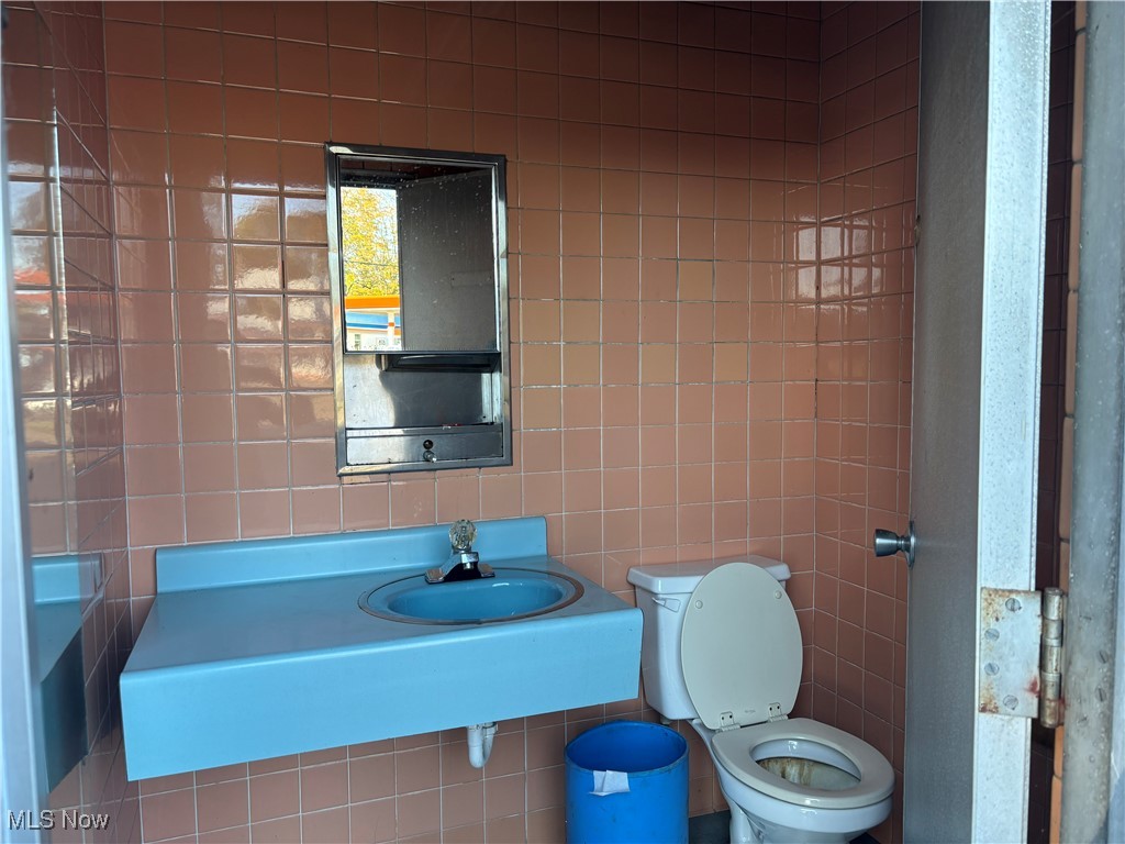 Kinsman, Ohio 44428, United States, ,Commercial,Active,223017