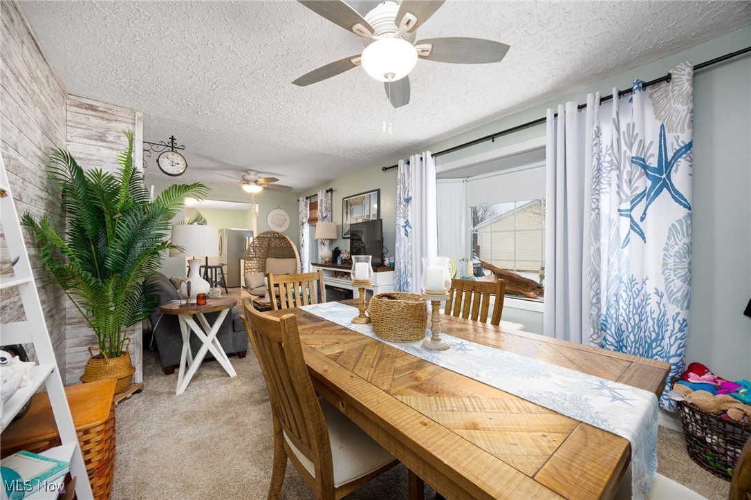 Cleveland Beach Allotment - Residential