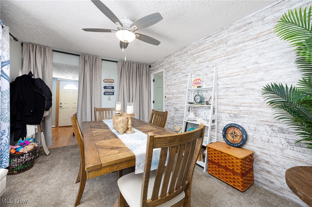 Cleveland Beach Allotment - Residential