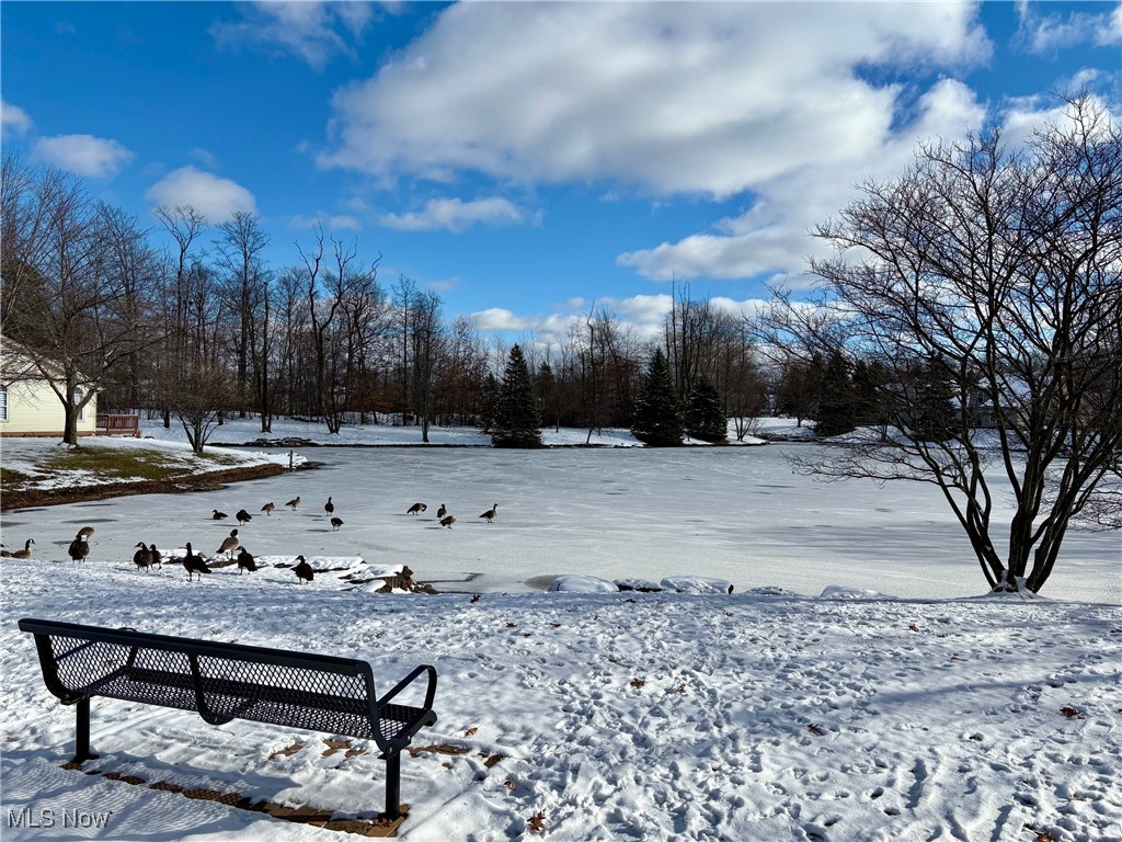Misty Lake - Residential