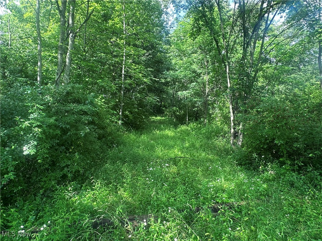 East Palestine, Ohio 44413, United States, ,Land,Active,163715