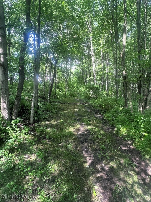 East Palestine, Ohio 44413, United States, ,Land,Active,163715