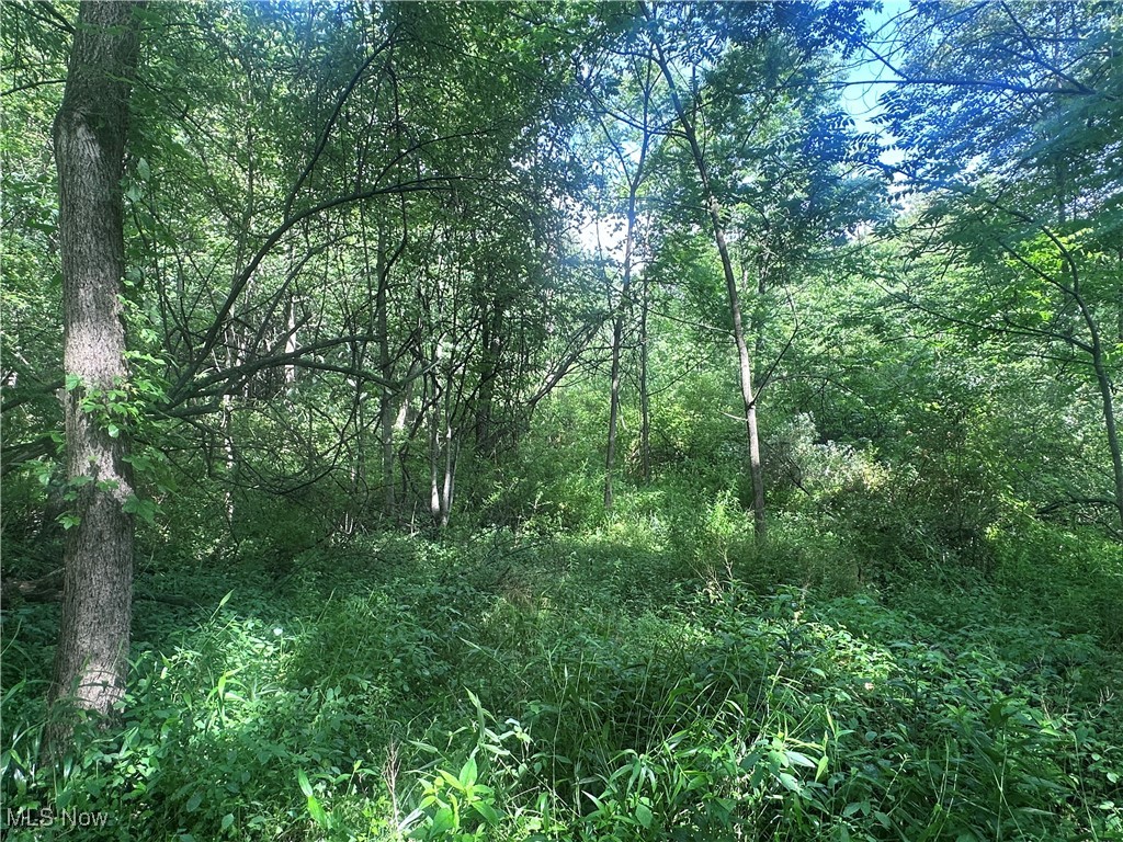 East Palestine, Ohio 44413, United States, ,Land,Active,163715