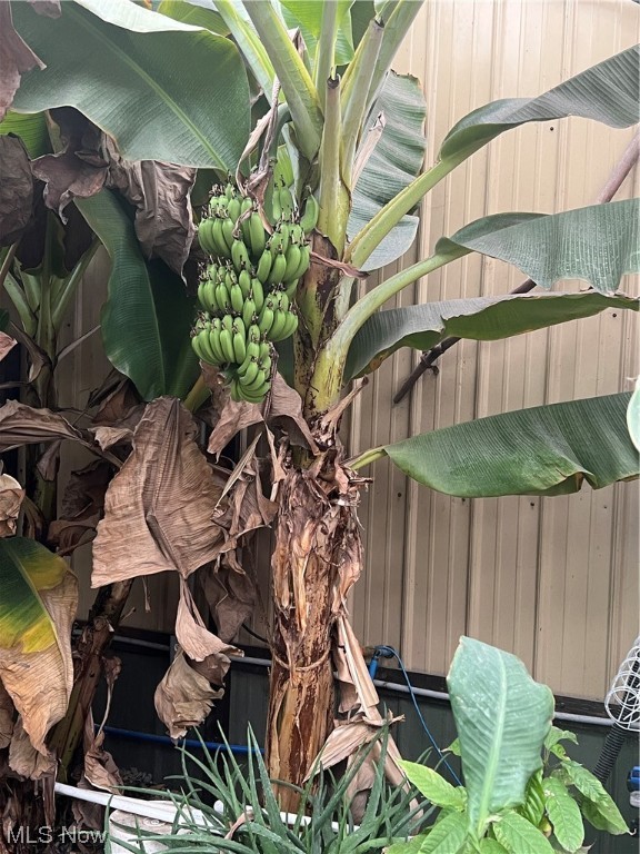 North Tuscarawas Allotment - Residential