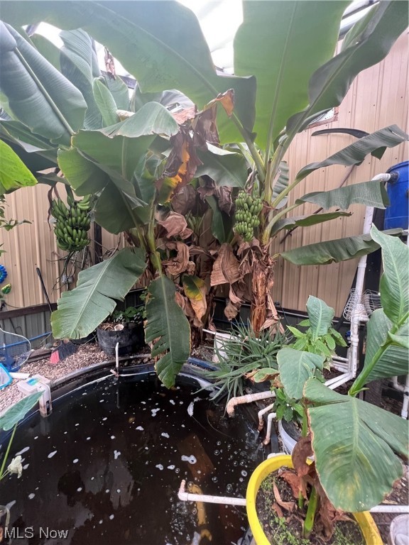 North Tuscarawas Allotment - Residential