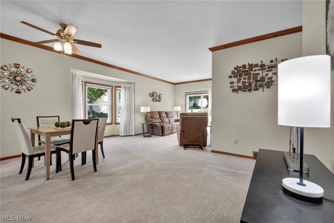 205 Village Drive