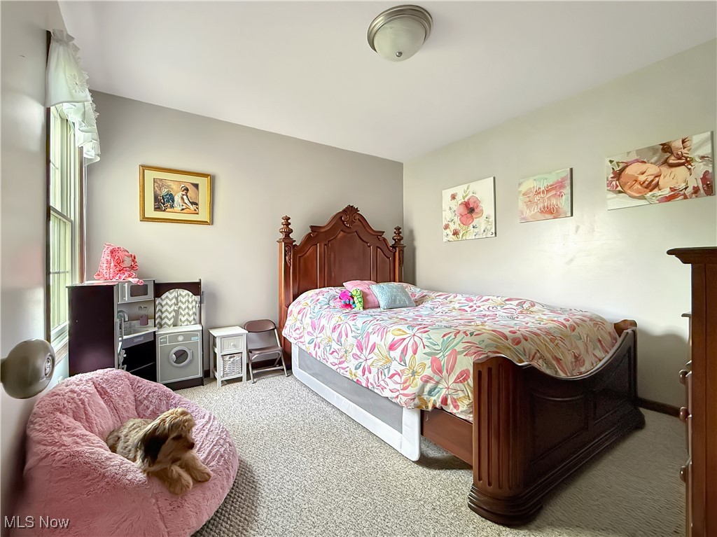 7810 Gibson Road, Canfield, Ohio image 47