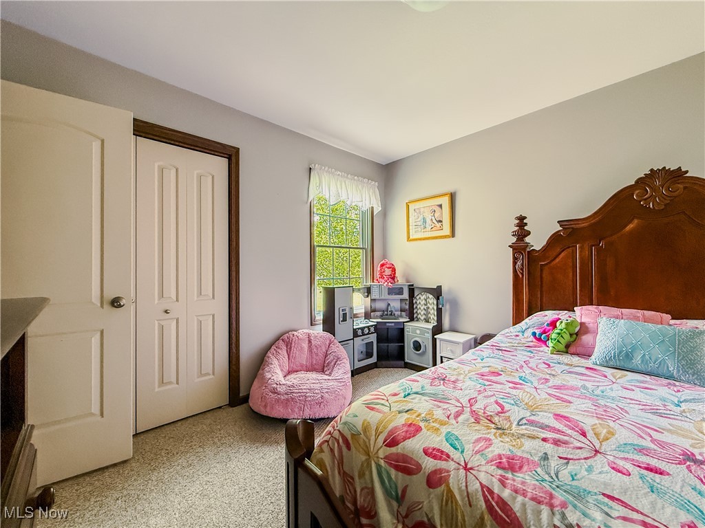 7810 Gibson Road, Canfield, Ohio image 49