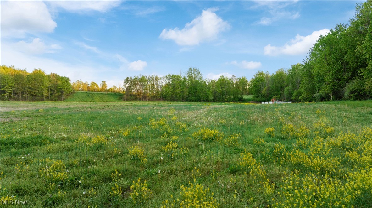 7116 Norwalk Road, Medina, Ohio image 22
