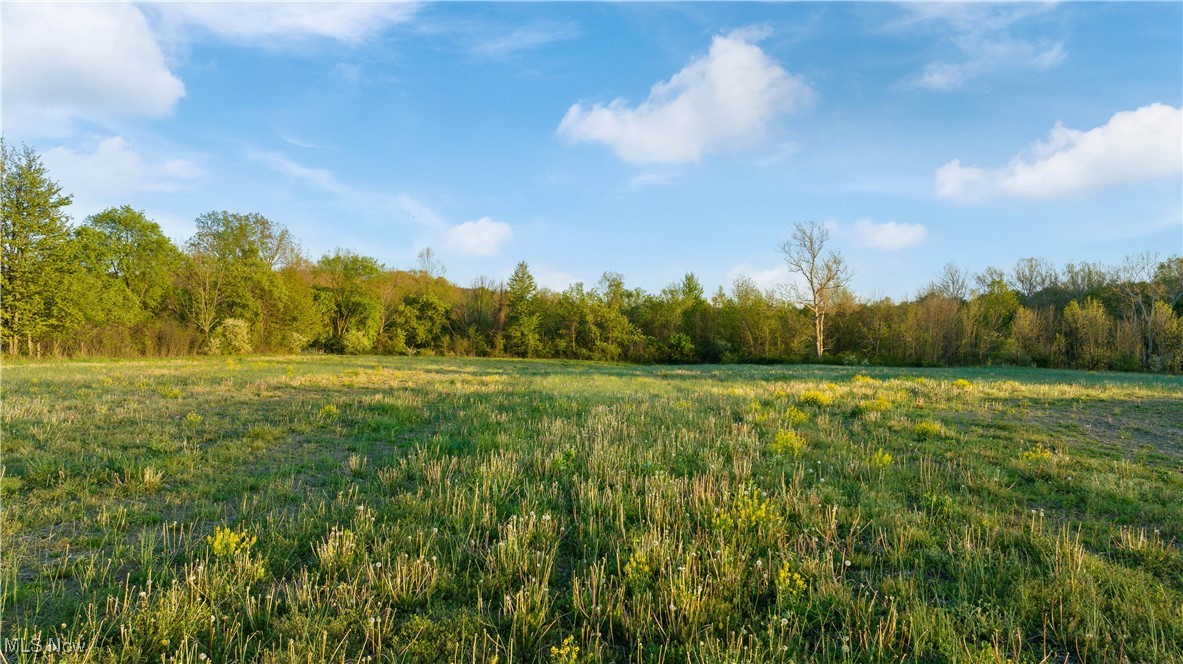 7116 Norwalk Road, Medina, Ohio image 24